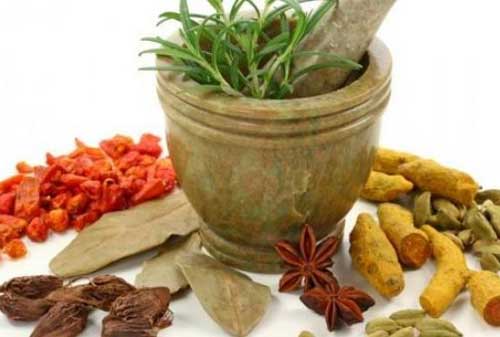 10 Tanaman Herbal Bisa Jadi Obat Mudah Ditemukan Lho
