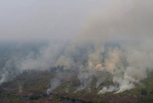 Kebakaran Hutan dan Lahan (Karhutla) Turut Membakar Saham 02 - Finansialku