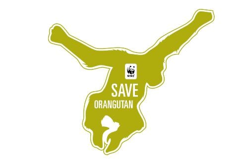 Save Orangutan!! Cara Mudah Donasi Online yang Bisa Kamu Lakukan 02