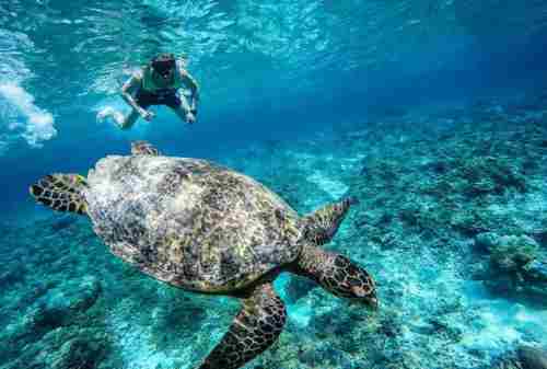 Gili Island, An Exotic Paradise in Eastern Indonesia 03