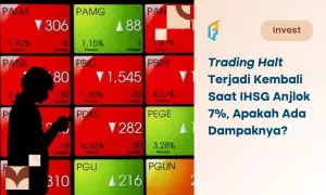 trading halt