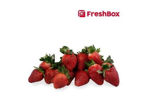 Freshbox - Gak Ribet! Ini Situs Belanja Online Buah dan Sayur Terlengkap! 05