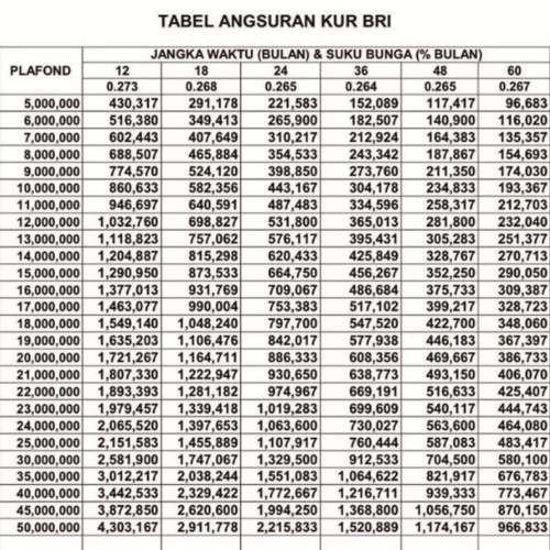 Syarat, Keunggulan, dan Tabel Angsuran BRI Terbaru Di Sini!