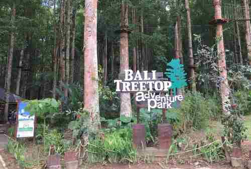 Top 8 Activities You MUST Try In BALI Indonesia 01 Treetop Adventure Park - Finansialku