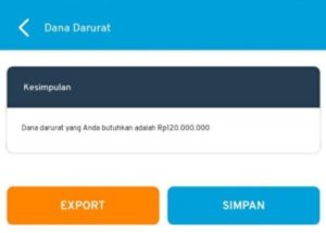 Hasil Perhitungan Dana Darurat