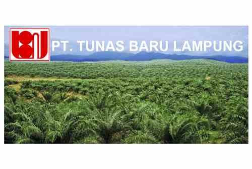 TBLA Ubah Klasifikasi Industri Ke Consumer Goods, Kenapa_ 01