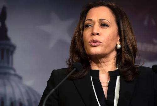 Sosok Kamala Harris, Wanita Blasteran Cawapres AS 2020 01