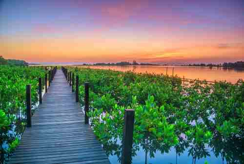 Bunaken National Park, A Paradise In the North of Sulawesi 05 - Finansialku