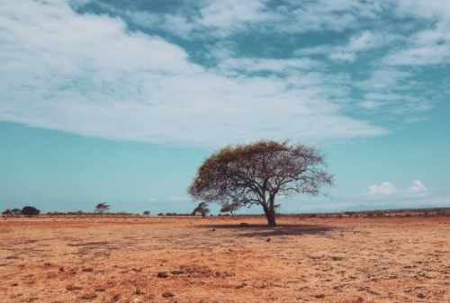 Baluran National Park, The Exotic Wildlife Of East Java Island 05 - Finansialku