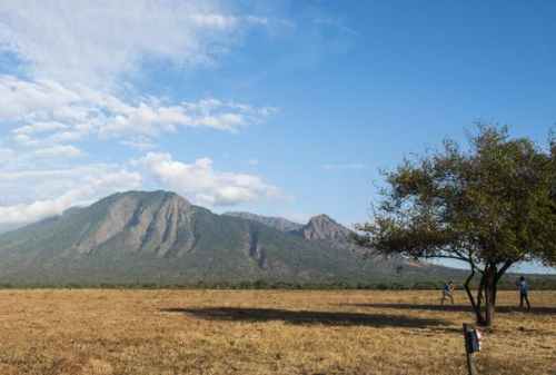 Baluran National Park, The Exotic Wildlife Of East Java Island 02- Finansialku