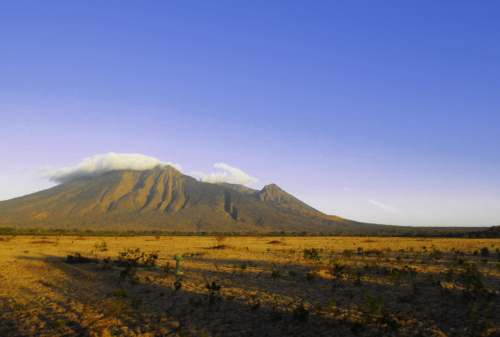 Baluran National Park, The Exotic Wildlife Of East Java Island 04 - Finansialku