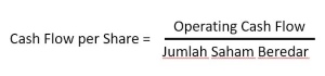 Cah Flow per Share