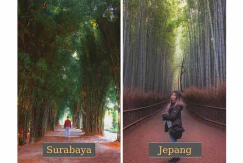 Keputih Bamboo Forest, Surabaya