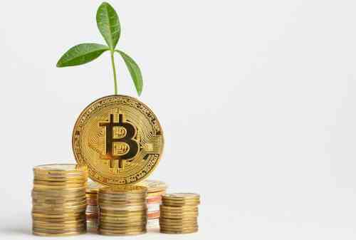 Apakah Investasi Bitcoin Cocok untuk Mengejar Kebebasan Keuangan 01 - Finansialku