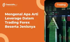 arti leverage dalam trading forex dan jenisnya