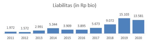 Liabilitas TINS