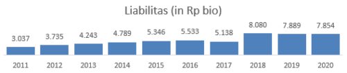 Liabilitas DSNG