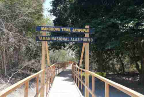 Ancient Site in Mangrove Forest, Purwo Temple