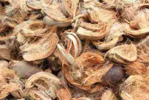 Bisnis Sabut Kelapa (1) Bisnis Sabut Kelapa (1)
