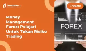 pelajari money management forex