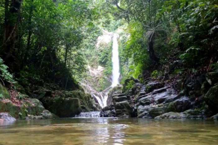 Destinasi Wisata Lampung_Air Terjun Curup Lestari