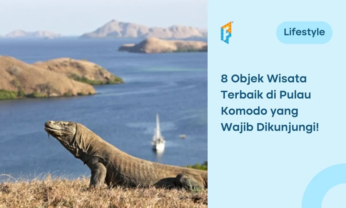 Wisata di Pulau Komodo