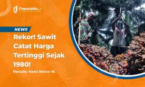 Mantul, Harga Sawit Komoditas Catat Rekor Tertinggi Sejak 1980!