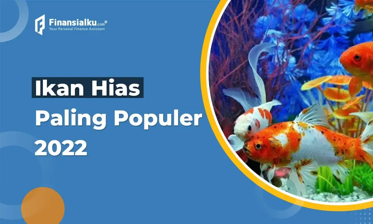 Jenis Ikan Hias Populer Tahun 2022, Bisa Buat Investasi?