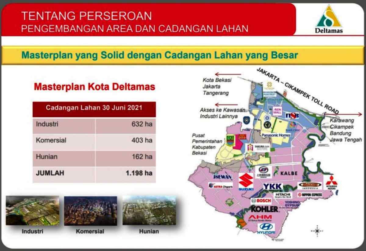 tentang perseroan DMAS