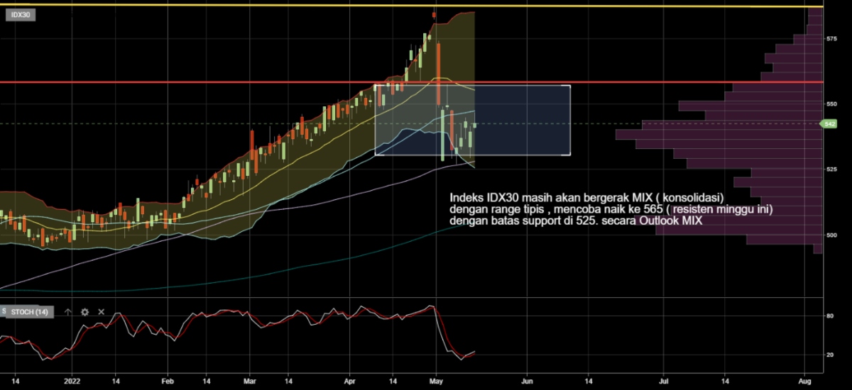 Investment Outlook 23-27 Mei IDX30