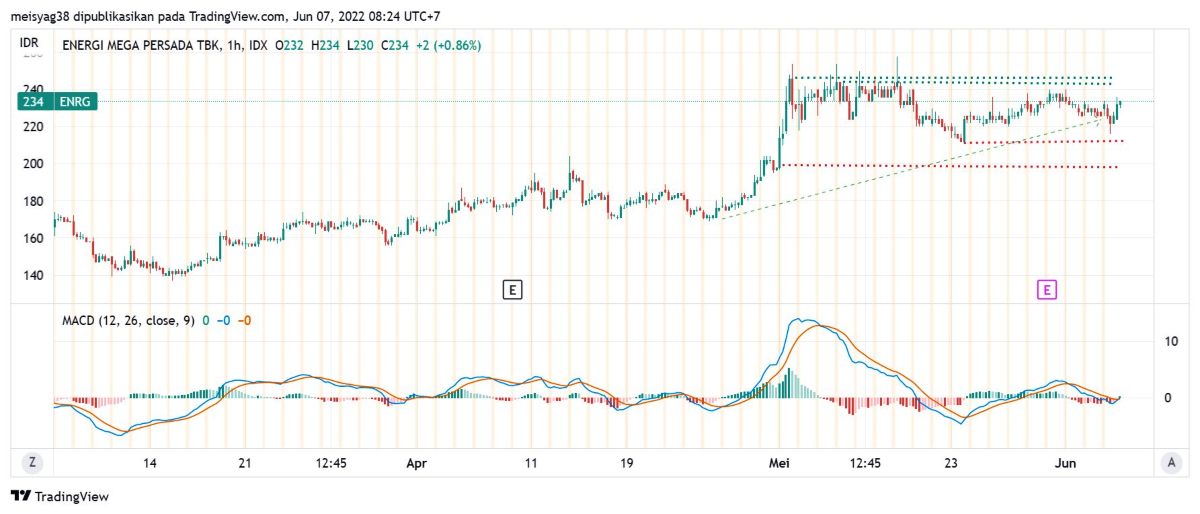 Pergerakan Harga Saham ENRG
