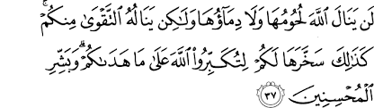 surat al hajj ayat 37