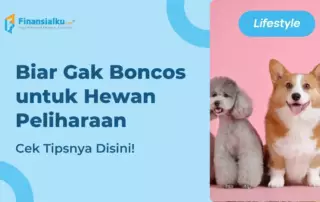 Catat! 6+ Tips Hemat Pengeluaran untuk Hewan Peliharaan