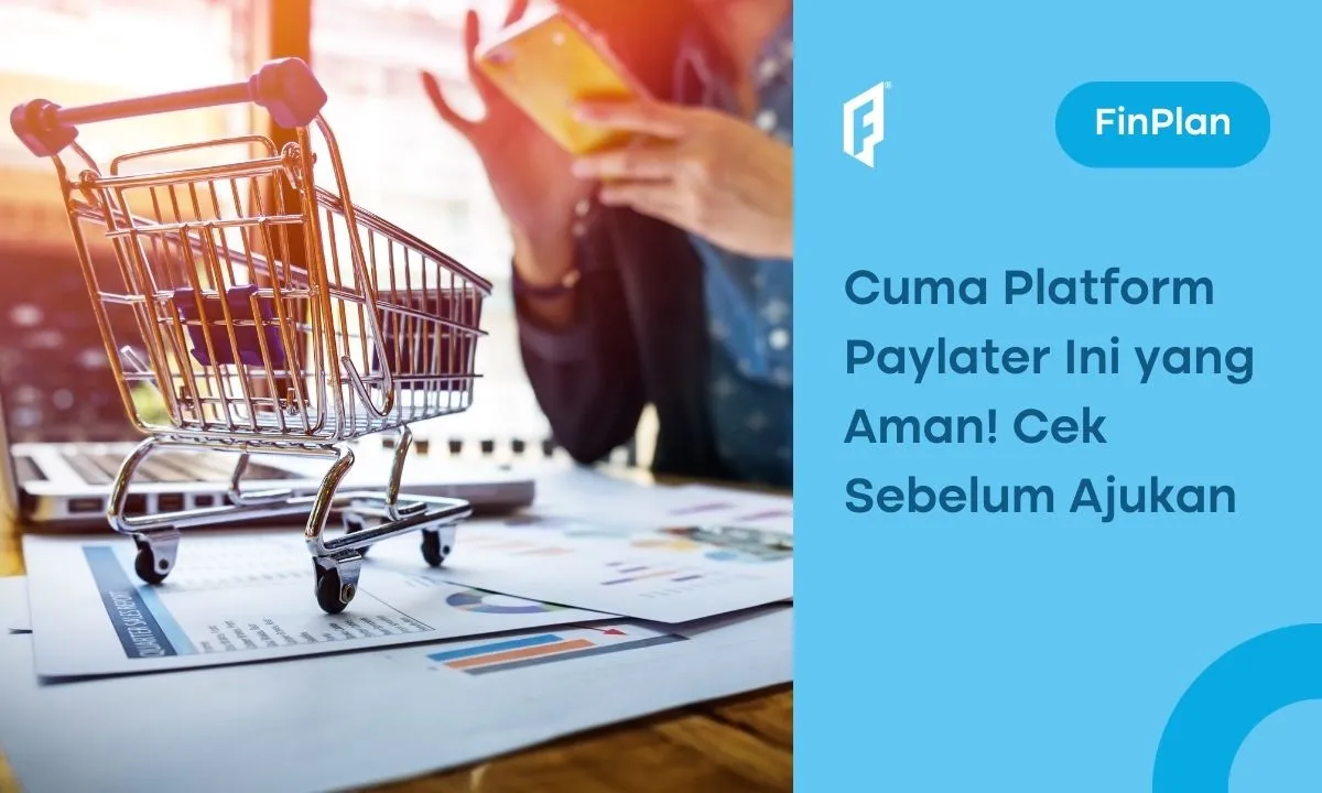 paylater 02