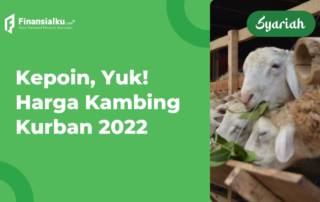 harga kambing kurban 2022