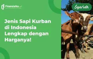 Daftar Harga Sapi Kurban 2022