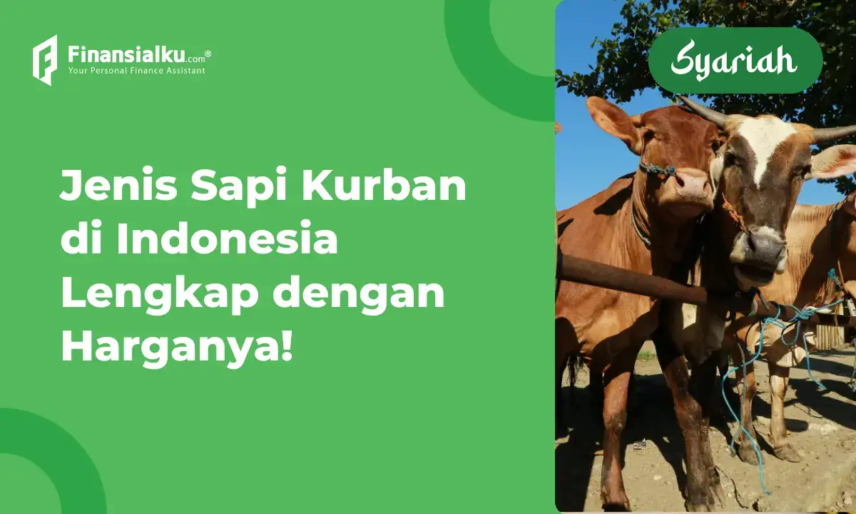 Daftar Harga Sapi Kurban 2022