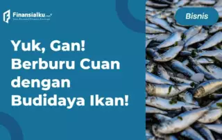 Dijamin Untung! Ini Jenis Ikan yang Cocok Dibudidayakan