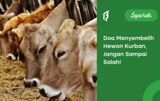 doa menyembelih hewan kurban