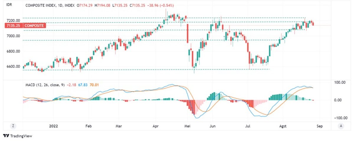 investment outlook IHSG