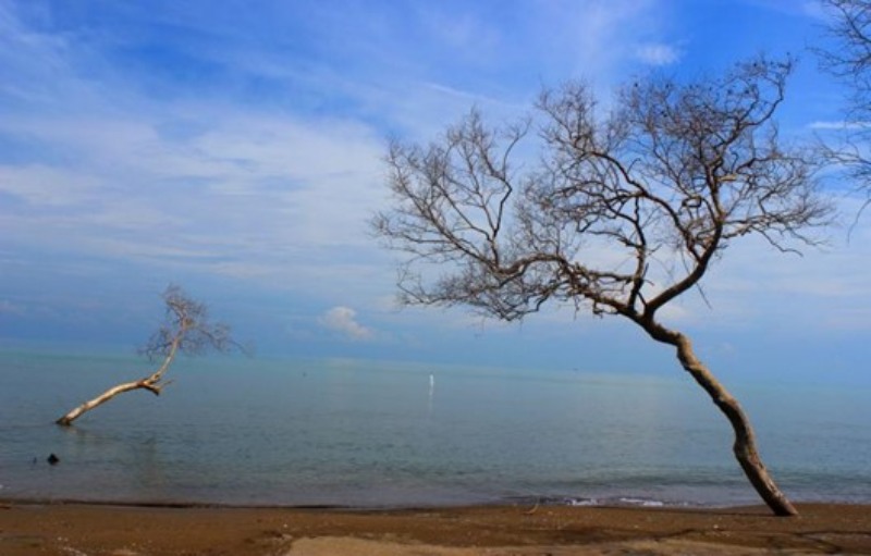wisata subang_pantai cirewang wisata subang_pantai cirewang