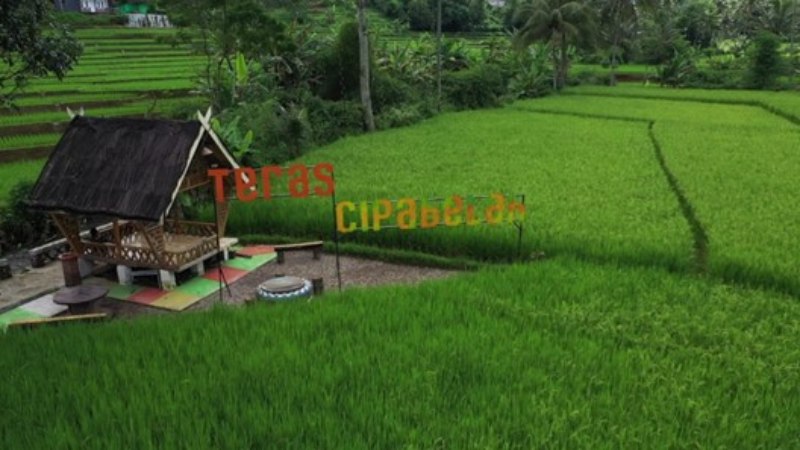 wisata subang_teras cipabelah