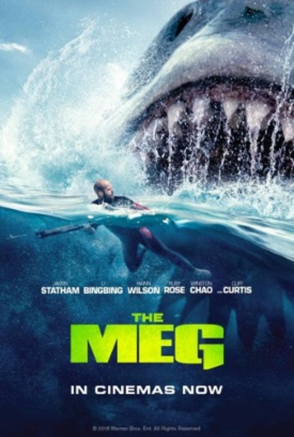 film Jason Statham 17 film Jason Statham 17