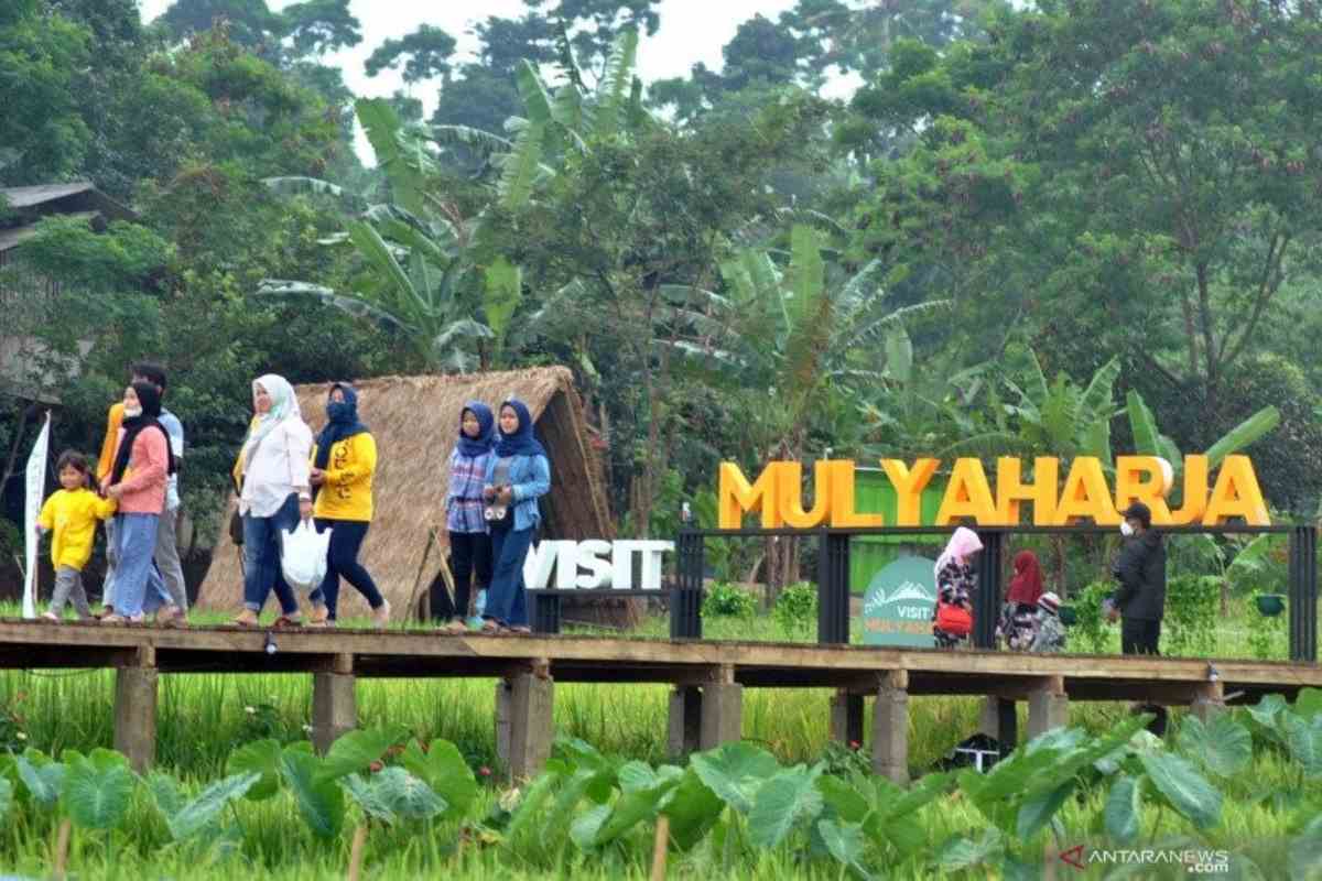 wisata sawah-Kampung Tematik Mulyaharja