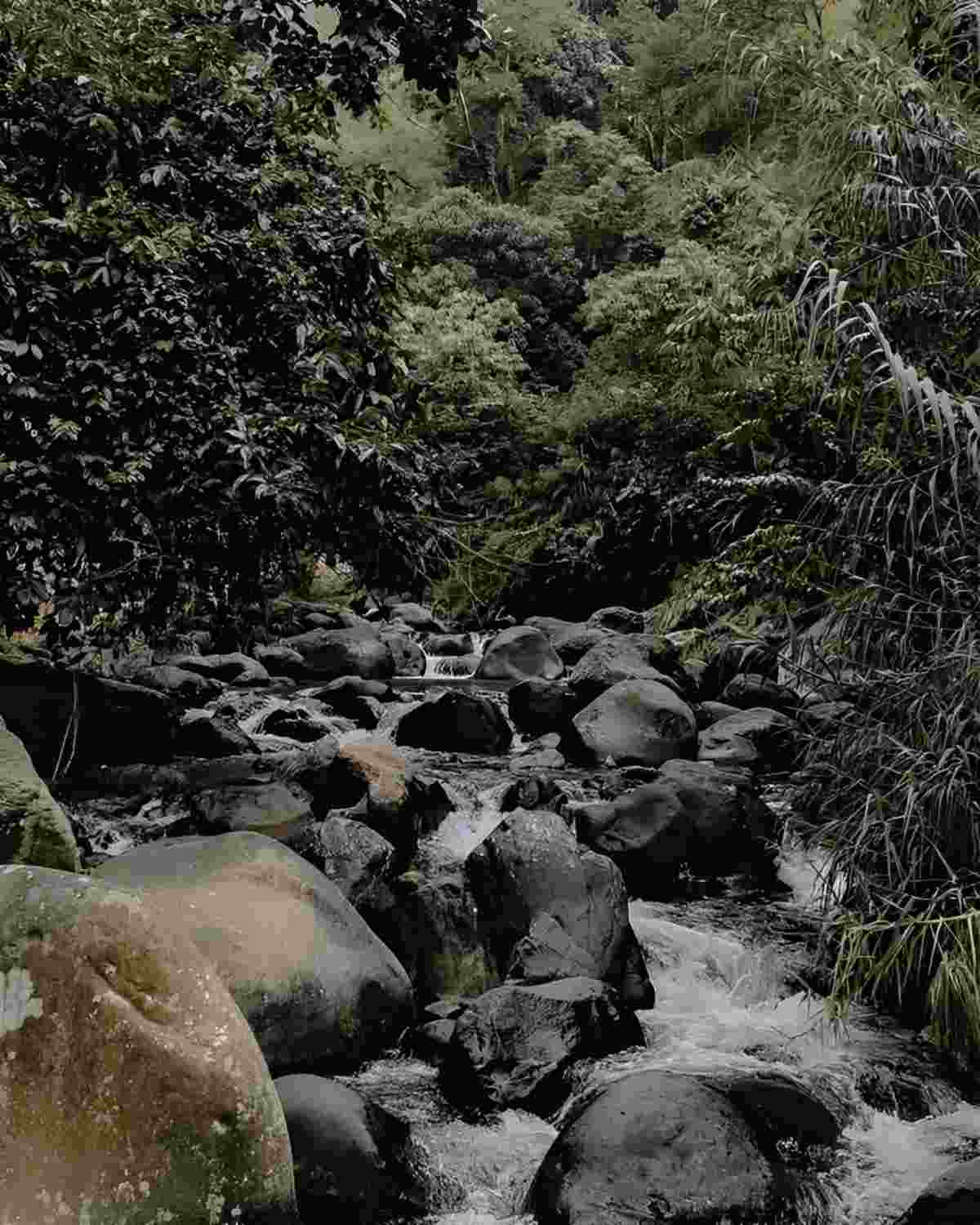 wisata air terjun_Curug Putri Kencana