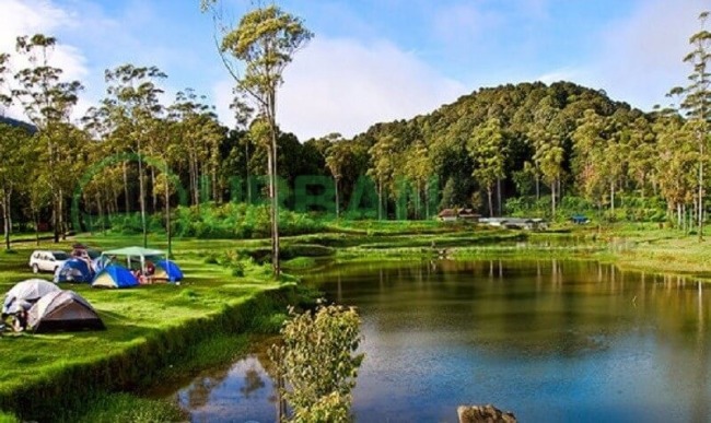 tempat camping di Bandung_ranca upas