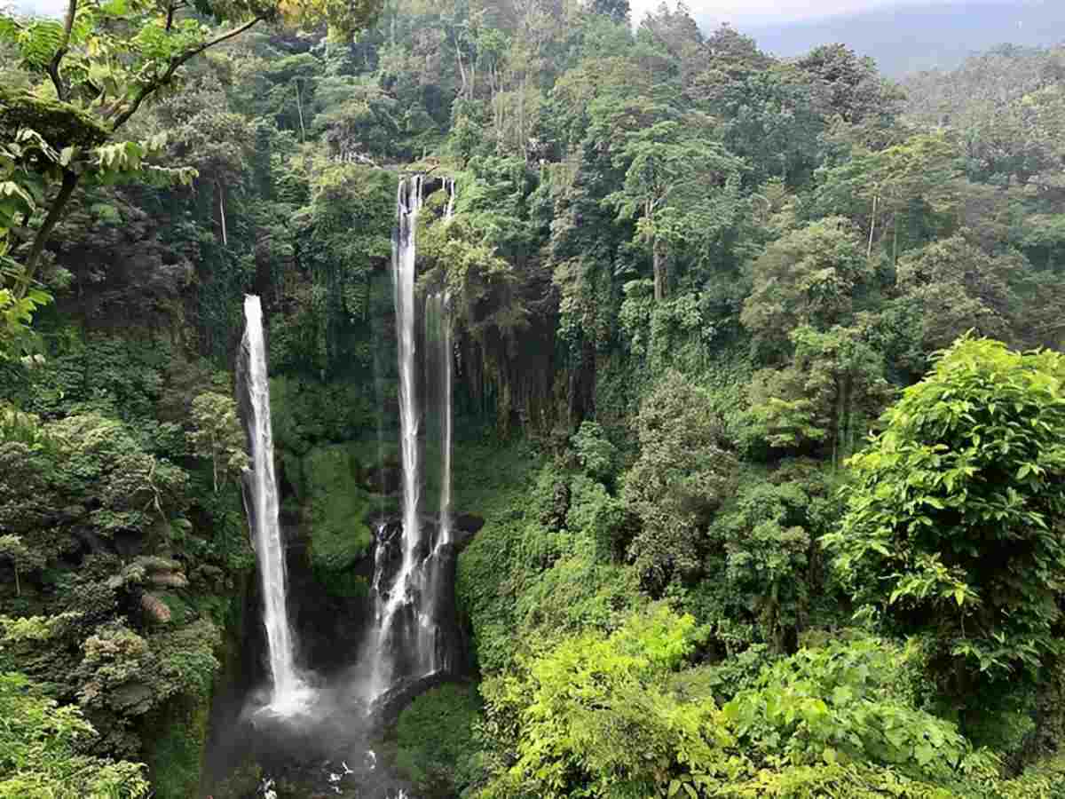 wisata air terjun_air Terjun Sekumpul