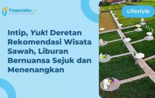 Bosan di Rumah? Kunjungi Destinasi Wisata Sawah