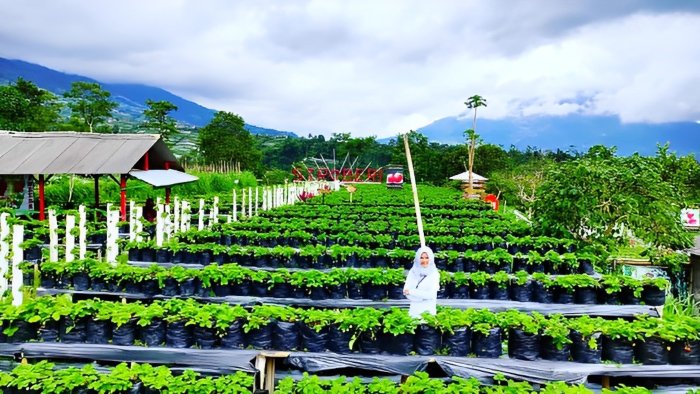 Selain Borobudur, ini 30 Destinasi Wisata Favorit di Magelang