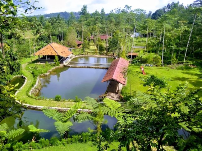 wisata purwakarta_wanakala camp